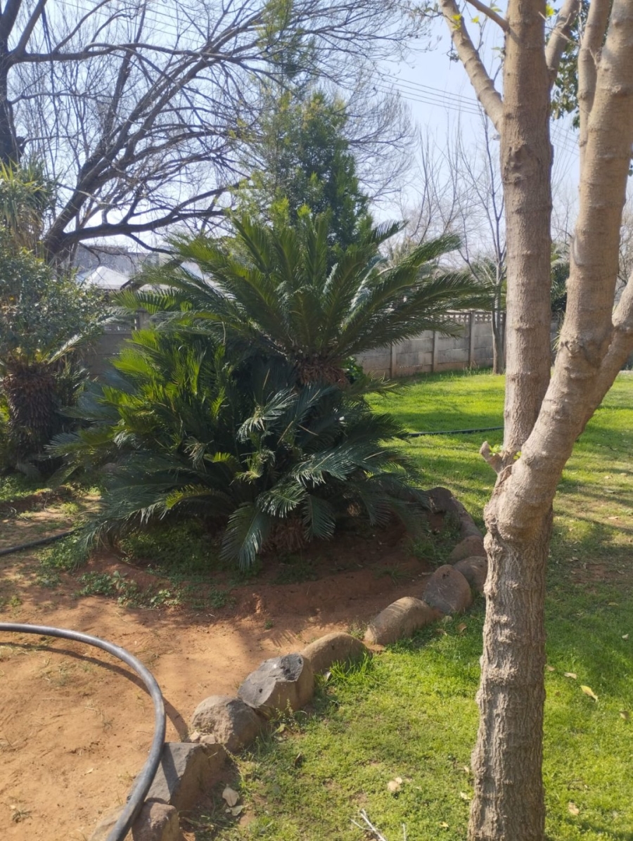 6 Bedroom Property for Sale in Boshof Free State